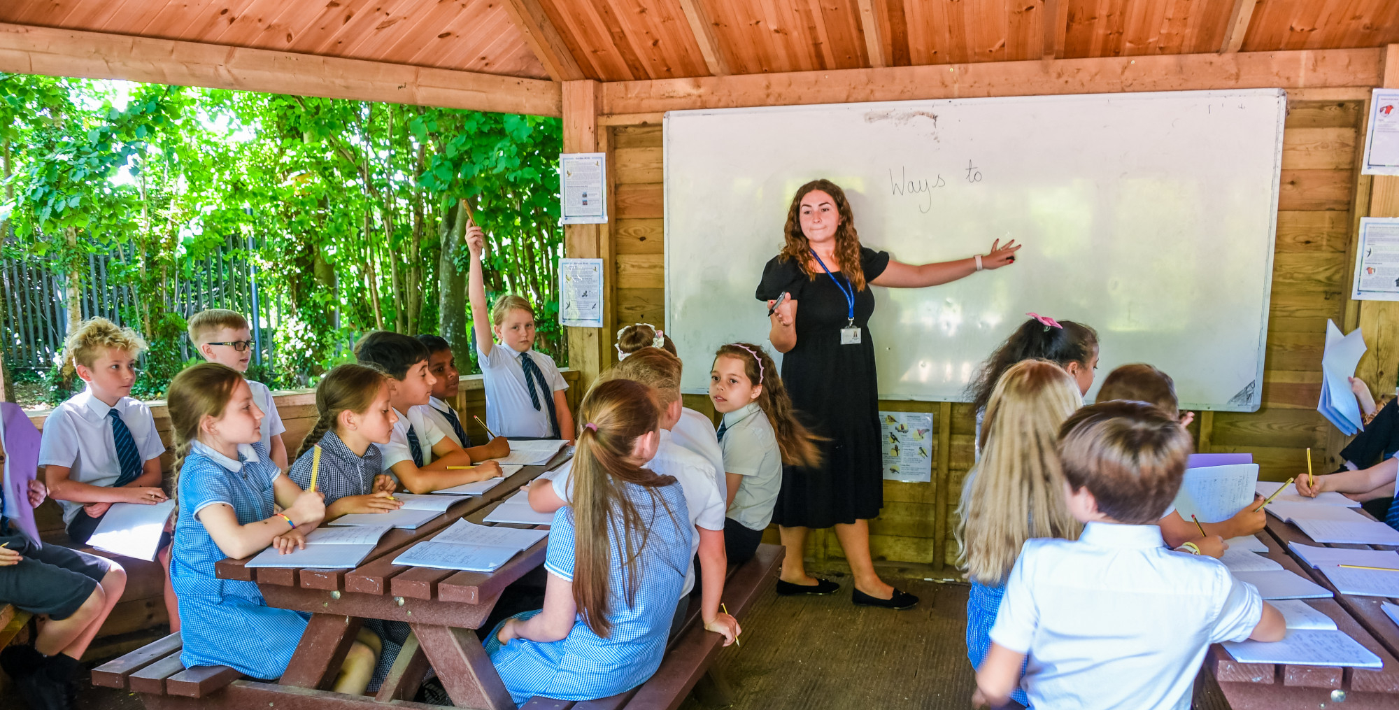 Curriculum Overview