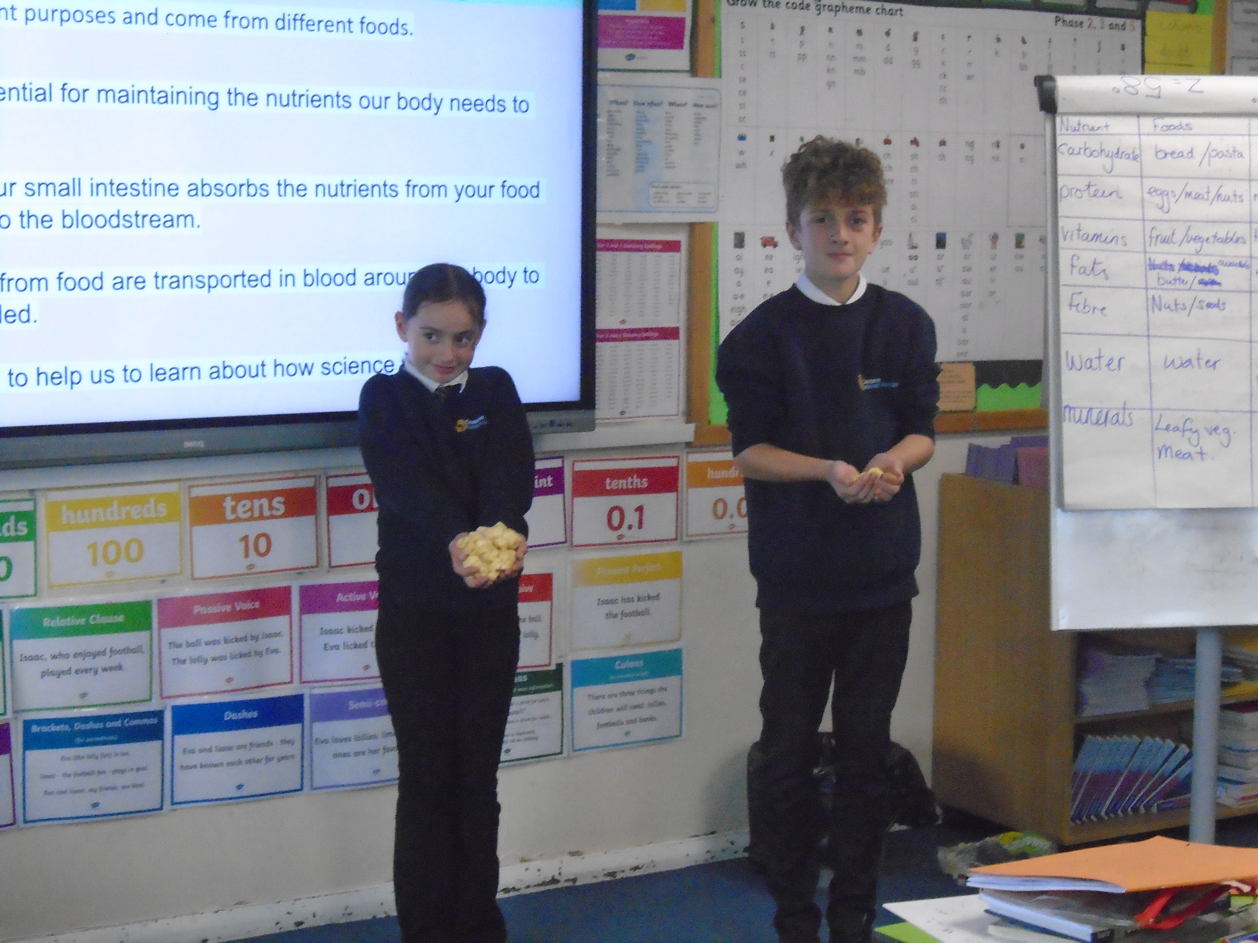 Y6 - Learning about the human body