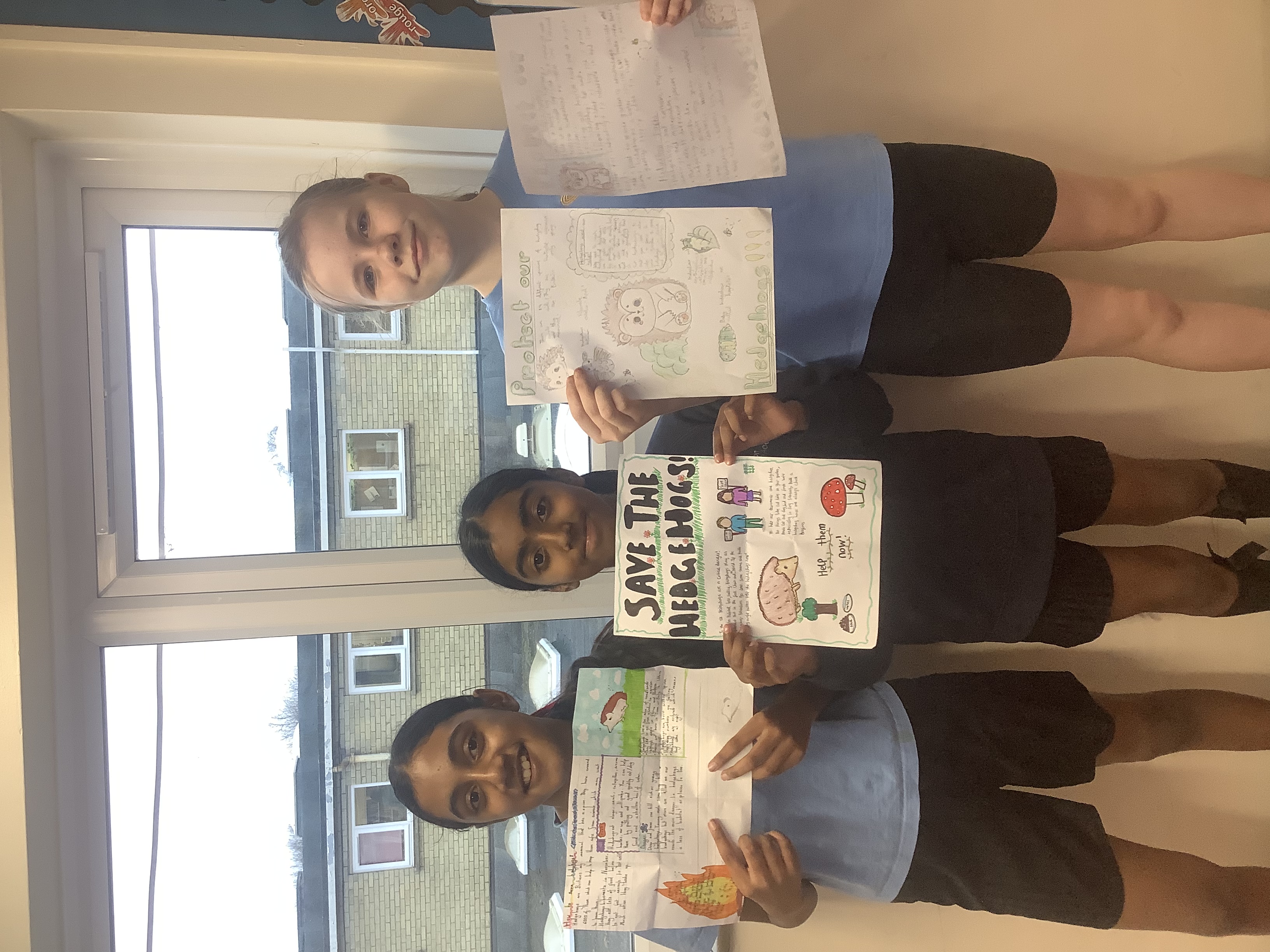 Happy National Hedgehog Day!