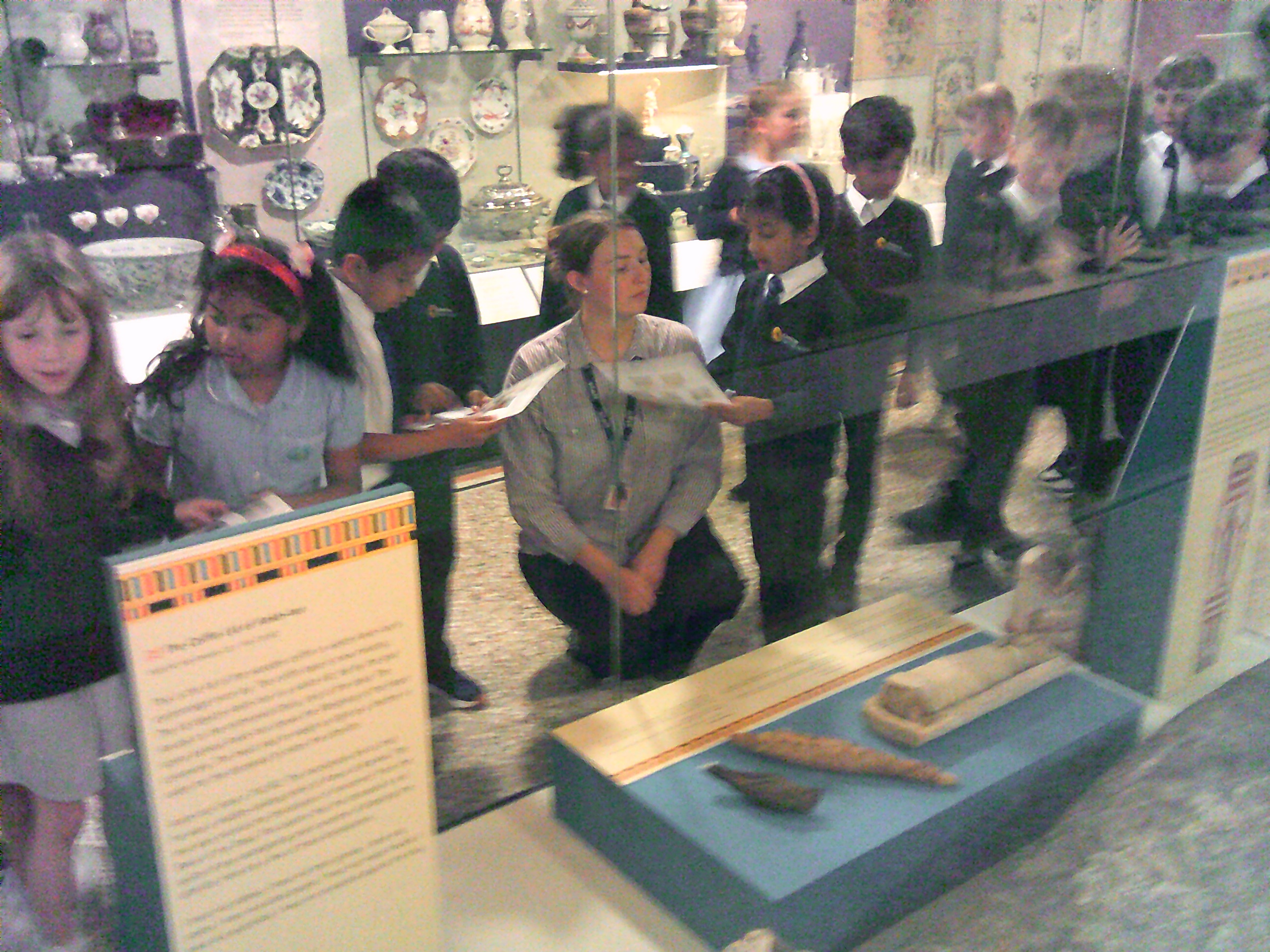 Y2 Butterflies