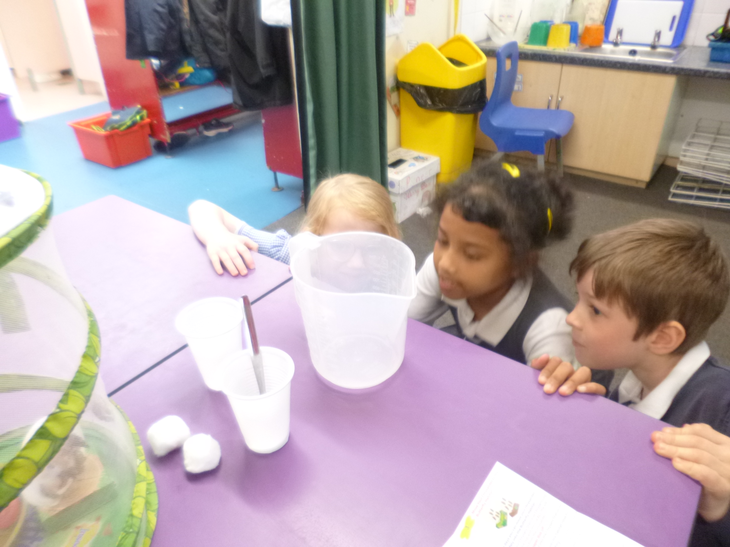 Y2 Butterflies